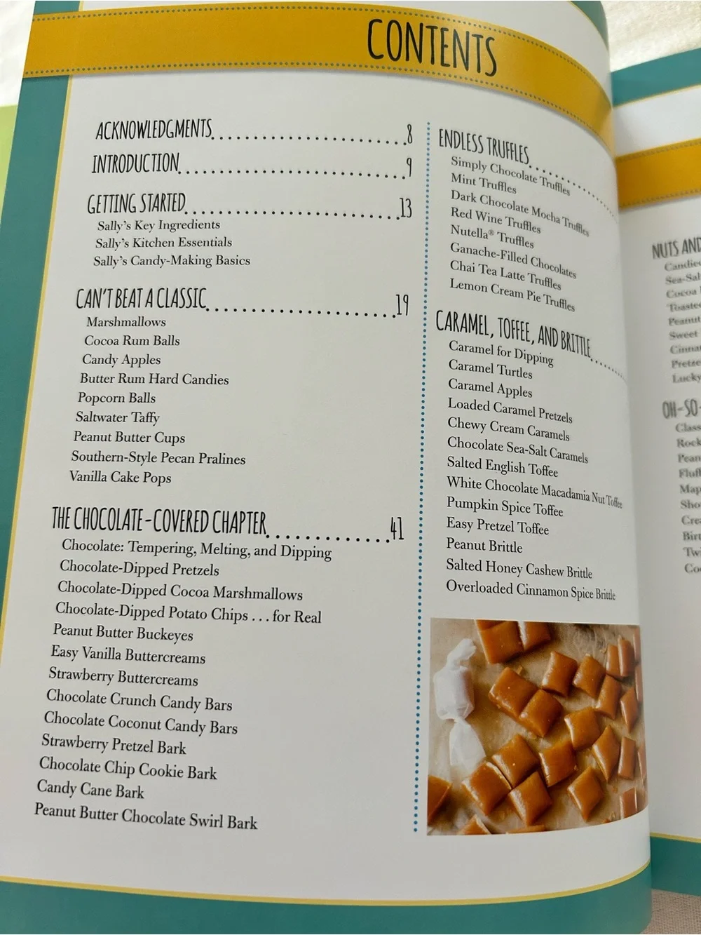 Sally’s Candy Addiction Hardcover Book